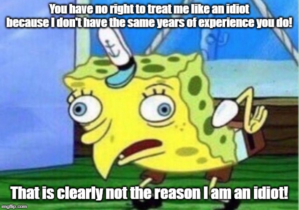 Mocking Spongebob Meme | You have no right to treat me like an idiot because I don't have the same years of experience you do! That is clearly not the reason I am an idiot! | image tagged in memes,mocking spongebob | made w/ Imgflip meme maker