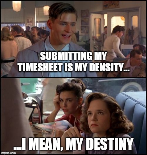SUBMITTING MY TIMESHEET IS MY DENSITY... ...I MEAN, MY DESTINY | image tagged in destiny,back to the future,marty mcfly,timesheet reminder | made w/ Imgflip meme maker