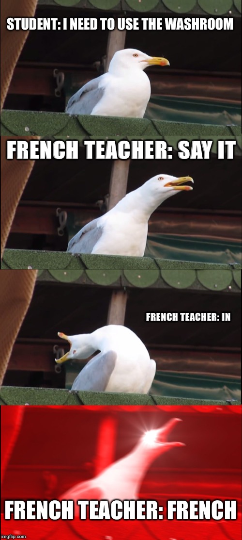Inhaling Seagull | STUDENT: I NEED TO USE THE WASHROOM; FRENCH TEACHER: SAY IT; FRENCH TEACHER: IN; FRENCH TEACHER: FRENCH | image tagged in memes,inhaling seagull | made w/ Imgflip meme maker
