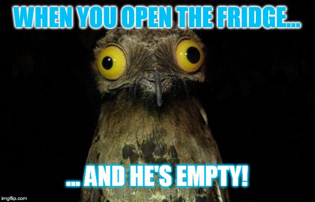 Every night!? | WHEN YOU OPEN THE FRIDGE... ... AND HE'S EMPTY! | image tagged in memes,weird stuff i do potoo,fridge,hungry,man,human | made w/ Imgflip meme maker