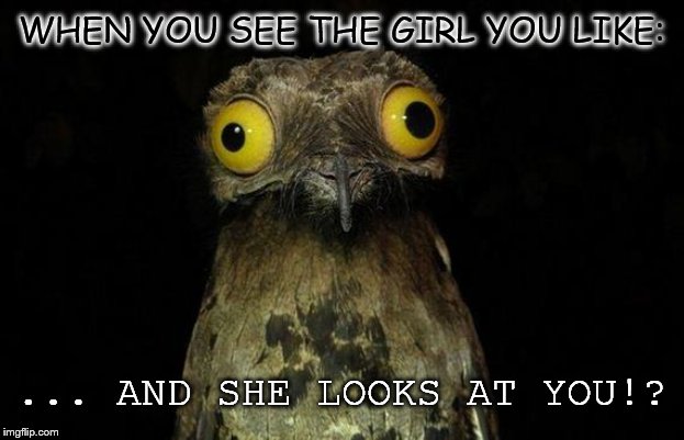 True or not?! | WHEN YOU SEE THE GIRL YOU LIKE:; ... AND SHE LOOKS AT YOU!? | image tagged in memes,weird stuff i do potoo,boy,girls,girlfriend,boyfriend | made w/ Imgflip meme maker