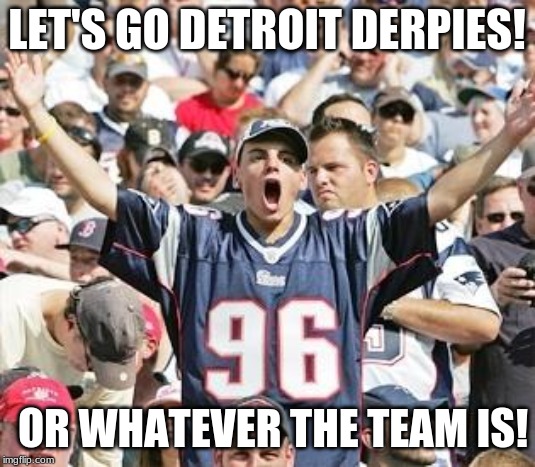Sports Fans | LET'S GO DETROIT DERPIES! OR WHATEVER THE TEAM IS! | image tagged in sports fans | made w/ Imgflip meme maker