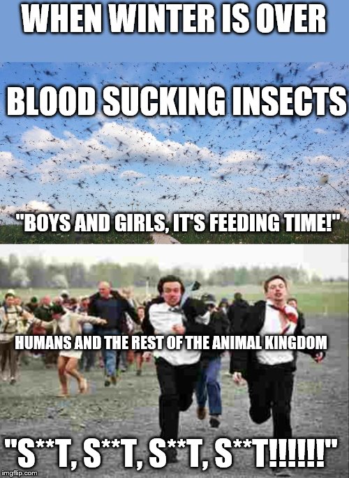 WHEN WINTER IS OVER; BLOOD SUCKING INSECTS; "BOYS AND GIRLS, IT'S FEEDING TIME!"; HUMANS AND THE REST OF THE ANIMAL KINGDOM; "S**T, S**T, S**T, S**T!!!!!!" | image tagged in running away | made w/ Imgflip meme maker