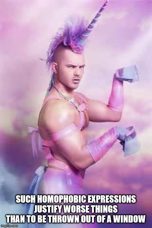 Gay Unicorn | SUCH HOMOPHOBIC EXPRESSIONS JUSTIFY WORSE THINGS THAN TO BE THROWN OUT OF A WINDOW | image tagged in gay unicorn | made w/ Imgflip meme maker