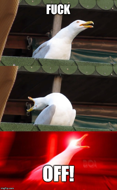 Inhaling seagull | F**K OFF! | image tagged in inhaling seagull | made w/ Imgflip meme maker