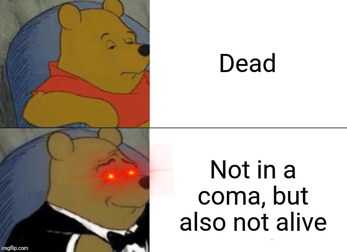 And that's a lesson learnt, kiddos! | Dead; Not in a coma, but also not alive | image tagged in memes,tuxedo winnie the pooh,dead,coma,dead or alive | made w/ Imgflip meme maker