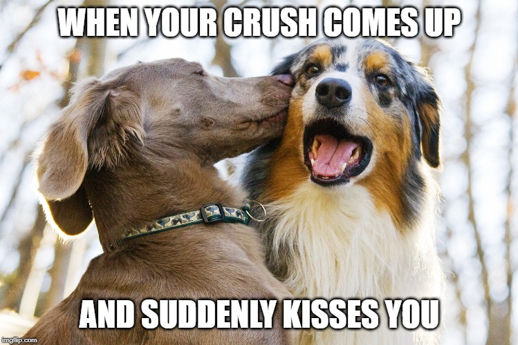 when your crush... | WHEN YOUR CRUSH COMES UP; AND SUDDENLY KISSES YOU | image tagged in that moment when | made w/ Imgflip meme maker