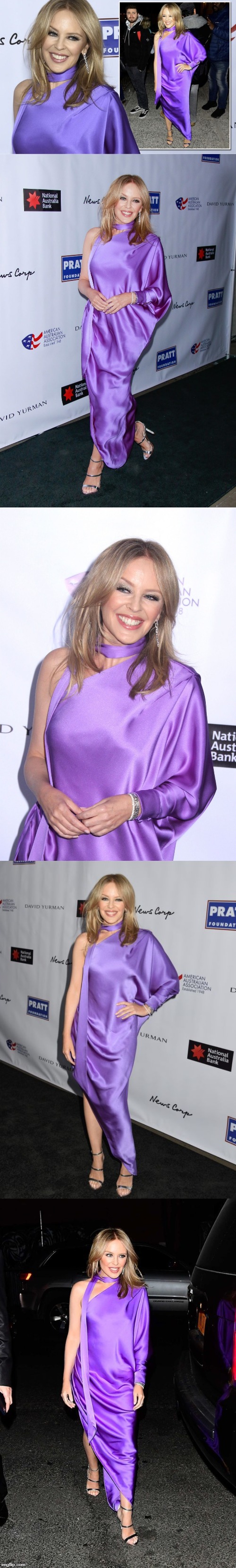 Supporting Australian bushfire relief efforts at the AAA Arts Awards Gala in New York, 1/30/20. | image tagged in celebrity,style,dress,wildfires,charity,australia | made w/ Imgflip meme maker