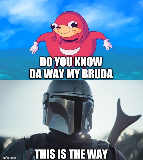 DO YOU KNOW DA WAY MY BRUDA; THIS IS THE WAY | image tagged in uganda knuckles,the mandalorian | made w/ Imgflip meme maker