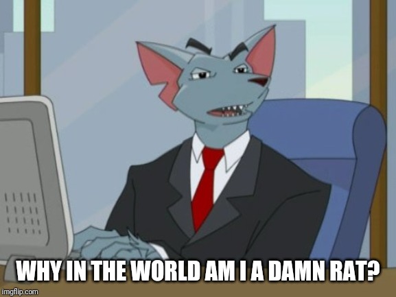 WHY IN THE WORLD AM I A DAMN RAT? | image tagged in gary the rat | made w/ Imgflip meme maker