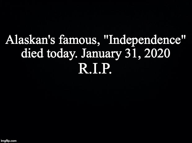 Black background | Alaskan's famous, "Independence" died today. January 31, 2020; R.I.P. | image tagged in black background | made w/ Imgflip meme maker