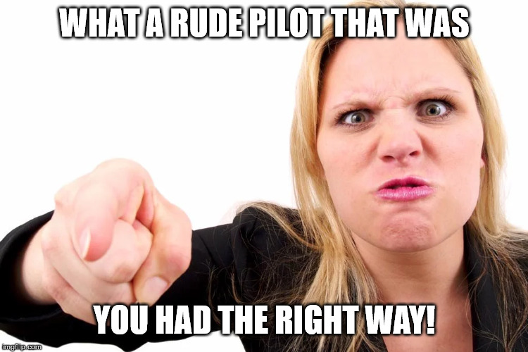 Offended woman | WHAT A RUDE PILOT THAT WAS YOU HAD THE RIGHT WAY! | image tagged in offended woman | made w/ Imgflip meme maker