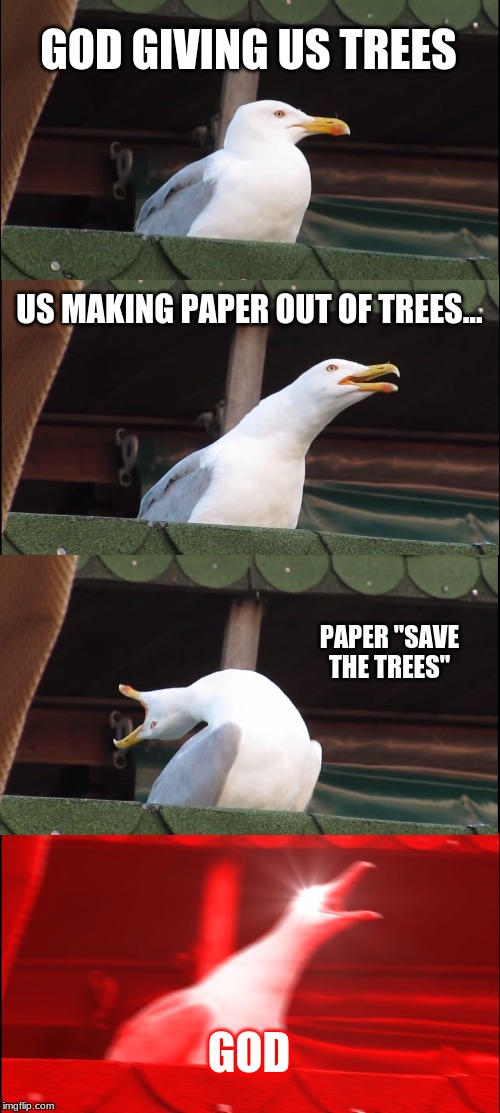 Inhaling Seagull Meme | GOD GIVING US TREES; US MAKING PAPER OUT OF TREES... PAPER "SAVE THE TREES"; GOD | image tagged in memes,inhaling seagull | made w/ Imgflip meme maker