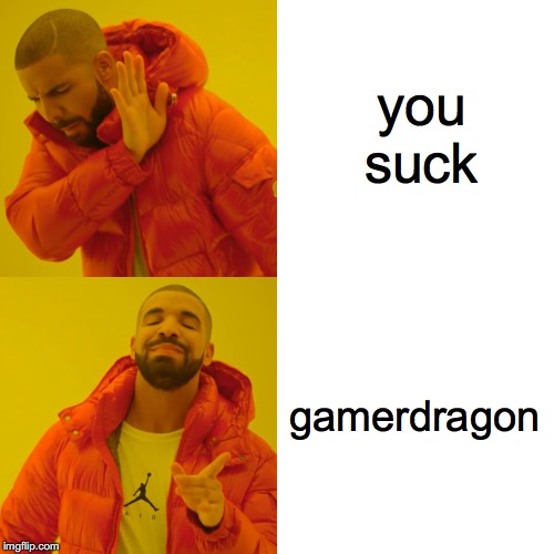 Drake Hotline Bling Meme | you suck gamerdragon | image tagged in memes,drake hotline bling | made w/ Imgflip meme maker