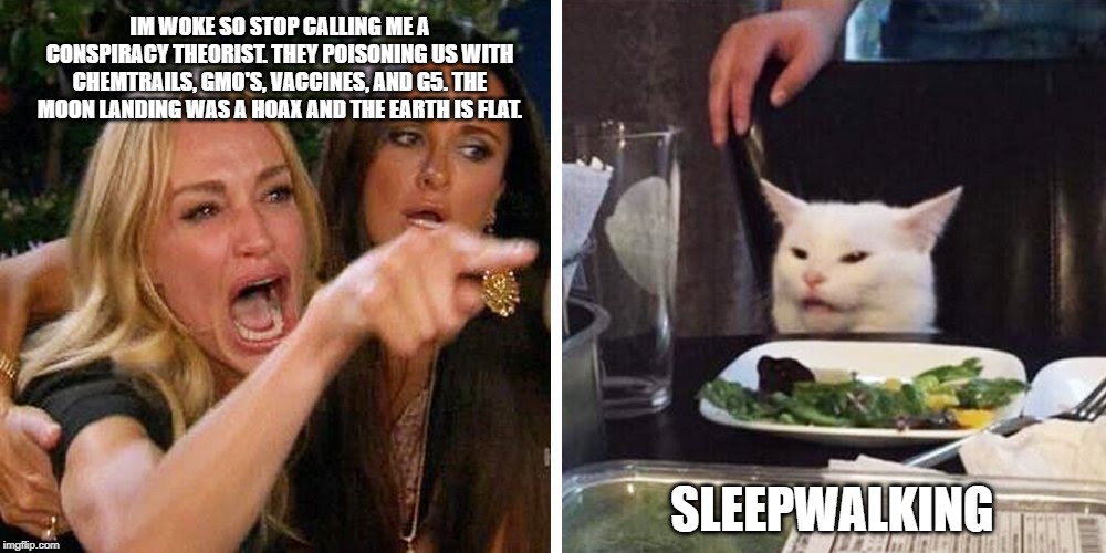 Smudge the cat | IM WOKE SO STOP CALLING ME A CONSPIRACY THEORIST. THEY POISONING US WITH CHEMTRAILS, GMO'S, VACCINES, AND G5. THE MOON LANDING WAS A HOAX AND THE EARTH IS FLAT. SLEEPWALKING | image tagged in smudge the cat | made w/ Imgflip meme maker