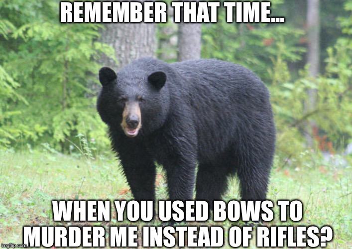 Remember That Time... | REMEMBER THAT TIME... WHEN YOU USED BOWS TO MURDER ME INSTEAD OF RIFLES? | image tagged in remember that time | made w/ Imgflip meme maker