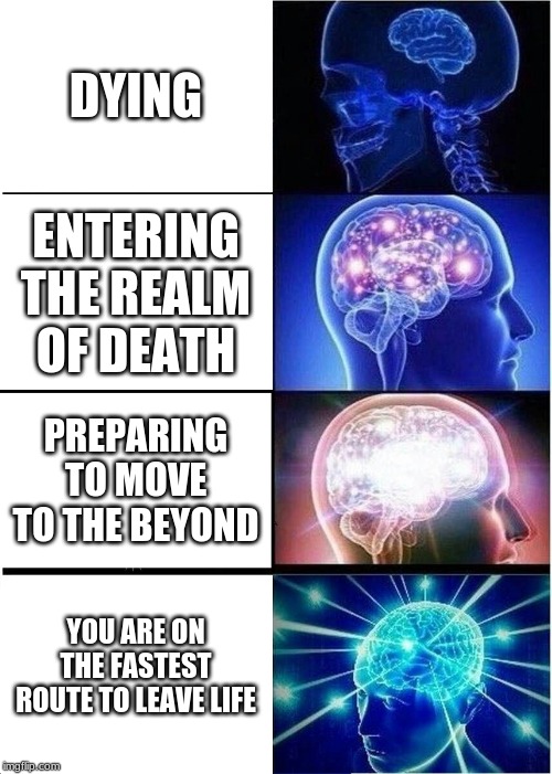 This is just something stupid I made | DYING; ENTERING THE REALM OF DEATH; PREPARING TO MOVE TO THE BEYOND; YOU ARE ON THE FASTEST ROUTE TO LEAVE LIFE | image tagged in memes,expanding brain | made w/ Imgflip meme maker