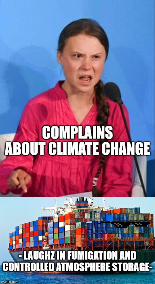 COMPLAINS ABOUT CLIMATE CHANGE; - LAUGHZ IN FUMIGATION AND CONTROLLED ATMOSPHERE STORAGE- | image tagged in shipping containers,greta thunberg how dare you | made w/ Imgflip meme maker