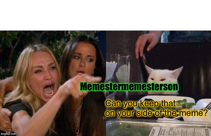 Woman Yelling At Cat Meme | Memestermemesterson Can you keep that on your side of the meme? | image tagged in memes,woman yelling at cat | made w/ Imgflip meme maker