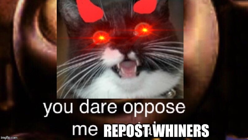 REPOST WHINERS | made w/ Imgflip meme maker