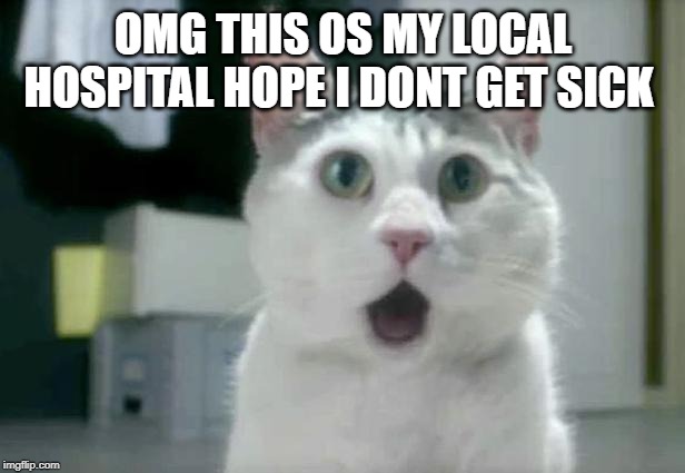OMG Cat Meme | OMG THIS OS MY LOCAL HOSPITAL HOPE I DONT GET SICK | image tagged in memes,omg cat | made w/ Imgflip meme maker