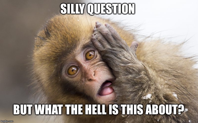 Huh? | SILLY QUESTION BUT WHAT THE HELL IS THIS ABOUT? | image tagged in huh | made w/ Imgflip meme maker