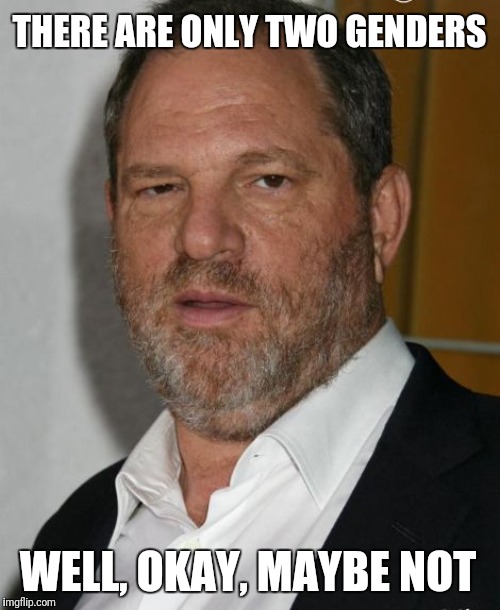 harvey weinstein | THERE ARE ONLY TWO GENDERS; WELL, OKAY, MAYBE NOT | image tagged in harvey weinstein | made w/ Imgflip meme maker