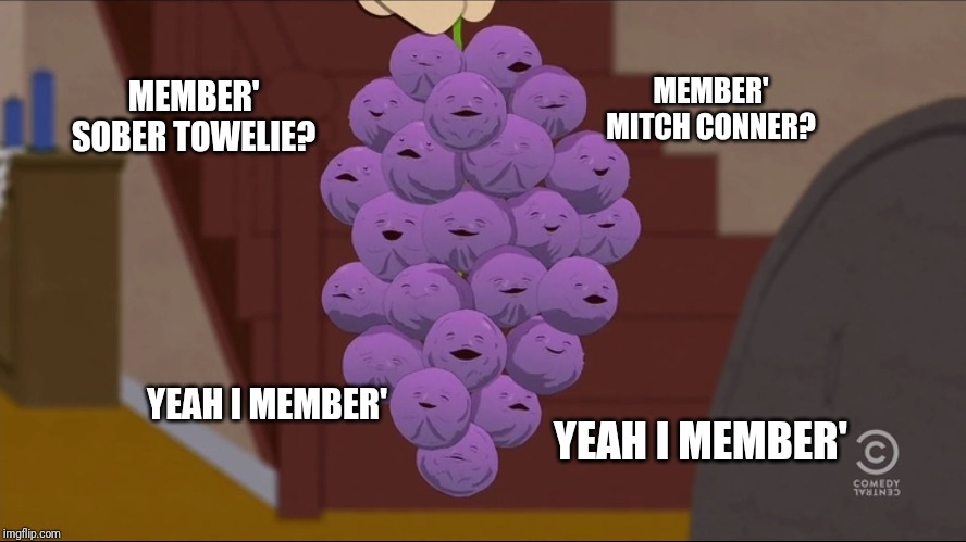 Member Berries | MEMBER' MITCH CONNER? MEMBER' SOBER TOWELIE? YEAH I MEMBER'; YEAH I MEMBER' | image tagged in memes,member berries | made w/ Imgflip meme maker