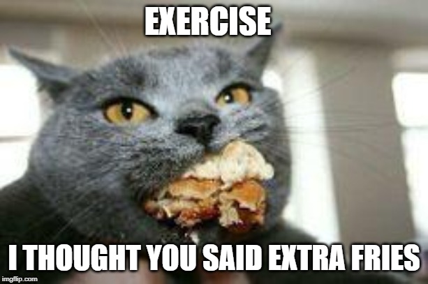 Cat-eating | EXERCISE; I THOUGHT YOU SAID EXTRA FRIES | image tagged in cat-eating | made w/ Imgflip meme maker