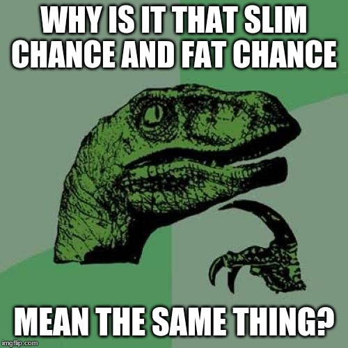 I am thoroughly confused | WHY IS IT THAT SLIM CHANCE AND FAT CHANCE; MEAN THE SAME THING? | image tagged in memes,philosoraptor,idk | made w/ Imgflip meme maker