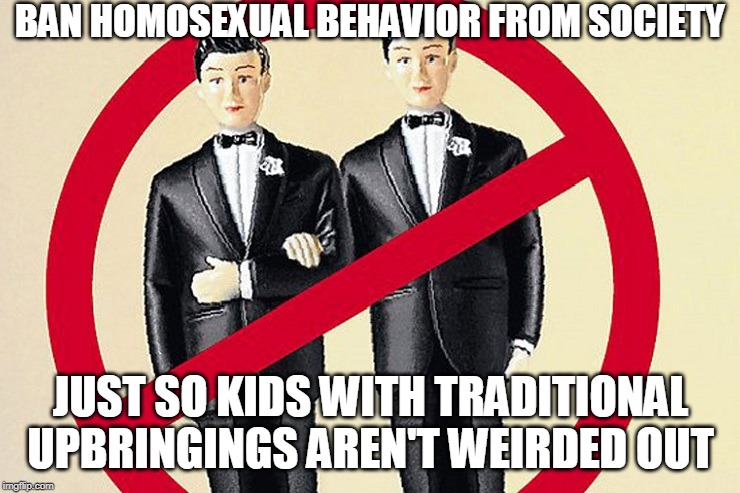 The status of a culture is determined by what it BANS. | BAN HOMOSEXUAL BEHAVIOR FROM SOCIETY; JUST SO KIDS WITH TRADITIONAL UPBRINGINGS AREN'T WEIRDED OUT | image tagged in marriage,gay marriage,homosexuality,society,culture,children | made w/ Imgflip meme maker