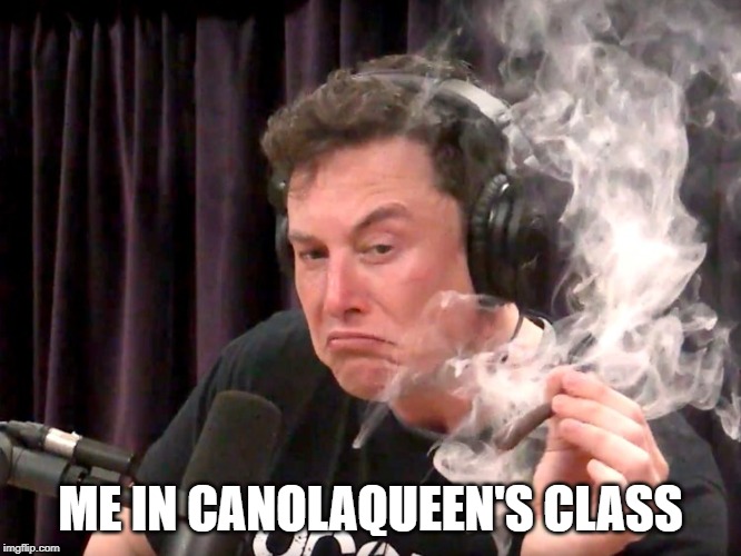 Elon Musk Weed | ME IN CANOLAQUEEN'S CLASS | image tagged in elon musk weed | made w/ Imgflip meme maker