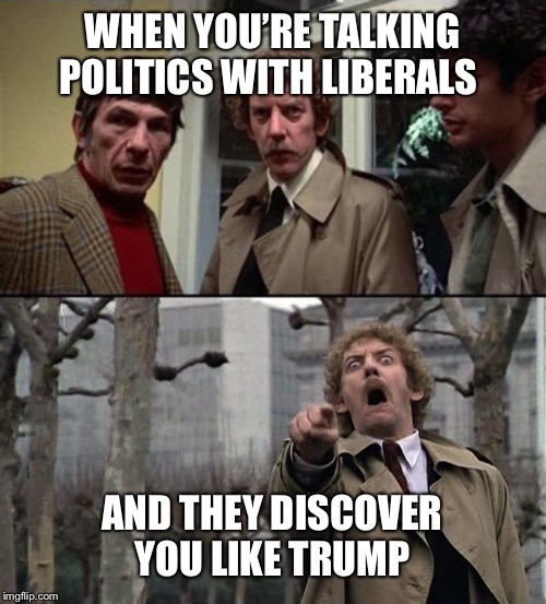 WHEN YOU’RE TALKING POLITICS WITH LIBERALS; AND THEY DISCOVER YOU LIKE TRUMP | image tagged in liberals,trump | made w/ Imgflip meme maker