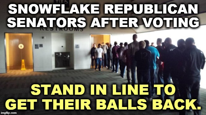 No witnesses, no exoneration. | SNOWFLAKE REPUBLICAN SENATORS AFTER VOTING; STAND IN LINE TO GET THEIR BALLS BACK. | image tagged in senate,republicans,wimps,cop out,snowflakes,weak | made w/ Imgflip meme maker