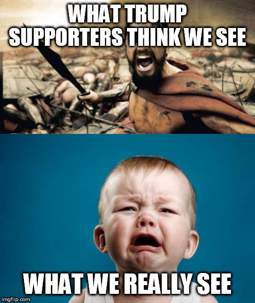 Especially now that incriminating evidence against him has been uncovered | WHAT TRUMP SUPPORTERS THINK WE SEE; WHAT WE REALLY SEE | image tagged in memes,sparta leonidas,baby crying,trump supporters,trump,donald trump | made w/ Imgflip meme maker