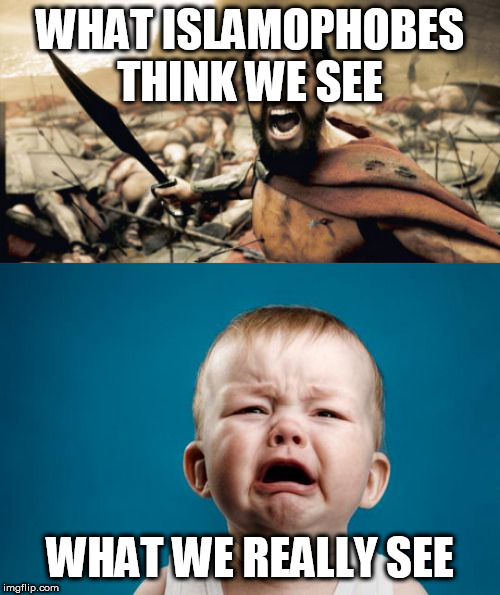 Even when they're talked to politely | WHAT ISLAMOPHOBES THINK WE SEE; WHAT WE REALLY SEE | image tagged in memes,sparta leonidas,baby crying,islamophobia,islamophobe,islamophobes | made w/ Imgflip meme maker