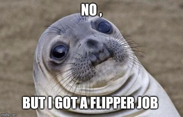Awkward Moment Sealion Meme | NO , BUT I GOT A FLIPPER JOB | image tagged in memes,awkward moment sealion | made w/ Imgflip meme maker