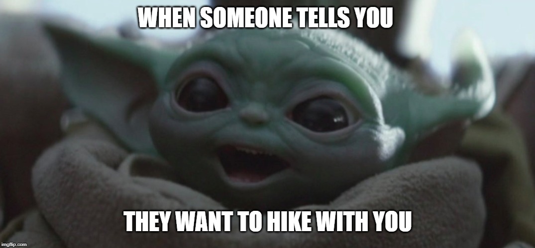 Happy Baby Yoda | WHEN SOMEONE TELLS YOU; THEY WANT TO HIKE WITH YOU | image tagged in happy baby yoda | made w/ Imgflip meme maker