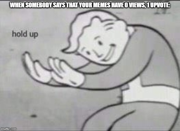 Fallout Hold Up | WHEN SOMEB0DY SAYS THAT YOUR MEMES HAVE 0 VIEWS, 1 UPVOTE: | image tagged in fallout hold up | made w/ Imgflip meme maker