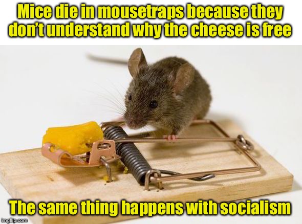 It’s a Trap! | Mice die in mousetraps because they don’t understand why the cheese is free; The same thing happens with socialism | image tagged in mousetrap,socialism,it's a trap,trap | made w/ Imgflip meme maker