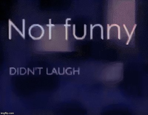 Not funny didn’t laugh | image tagged in not funny didnt laugh | made w/ Imgflip meme maker