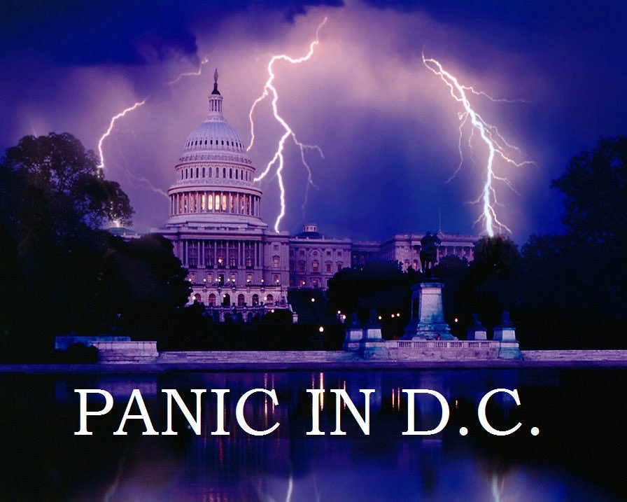 High Quality Panic in DC Blank Meme Template
