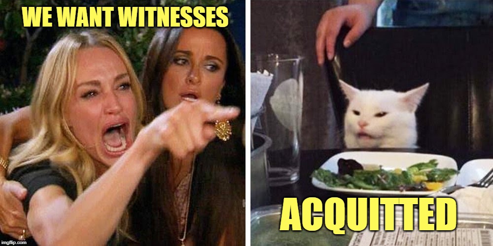 Wait until the GOP landslide in November! | WE WANT WITNESSES; ACQUITTED | image tagged in smudge the cat,trump | made w/ Imgflip meme maker