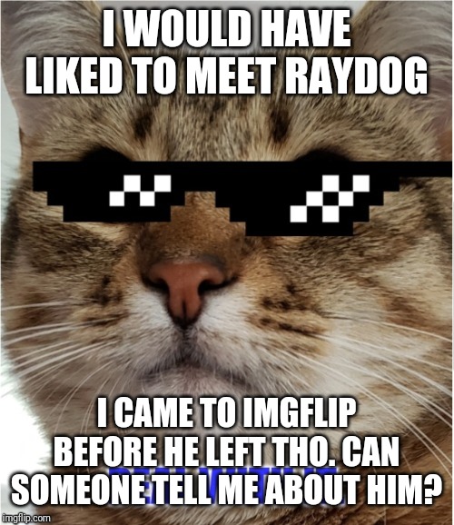  I WOULD HAVE LIKED TO MEET RAYDOG; I CAME TO IMGFLIP BEFORE HE LEFT THO. CAN SOMEONE TELL ME ABOUT HIM? | image tagged in deal with it thatkidoverthere | made w/ Imgflip meme maker