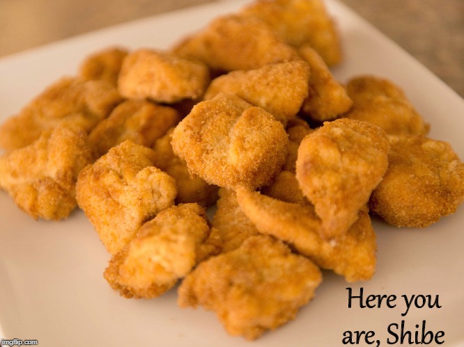 Chicken Nuggets | Here you are, Shibe | image tagged in chicken nuggets | made w/ Imgflip meme maker