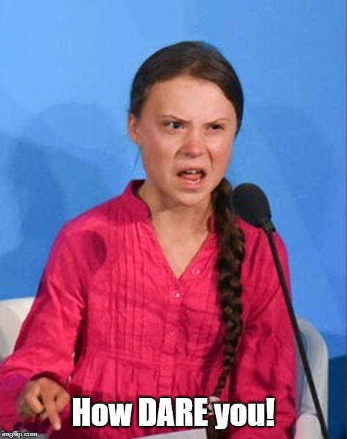 Greta Thunberg how dare you | How DARE you! | image tagged in greta thunberg how dare you | made w/ Imgflip meme maker