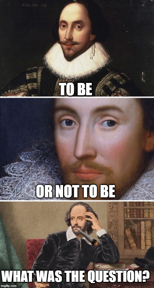 Shakespeare experiences THC | TO BE; OR NOT TO BE; WHAT WAS THE QUESTION? | image tagged in bad pun shakespeare | made w/ Imgflip meme maker