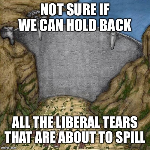 Water Dam Meme | NOT SURE IF WE CAN HOLD BACK; ALL THE LIBERAL TEARS THAT ARE ABOUT TO SPILL | image tagged in water dam meme | made w/ Imgflip meme maker