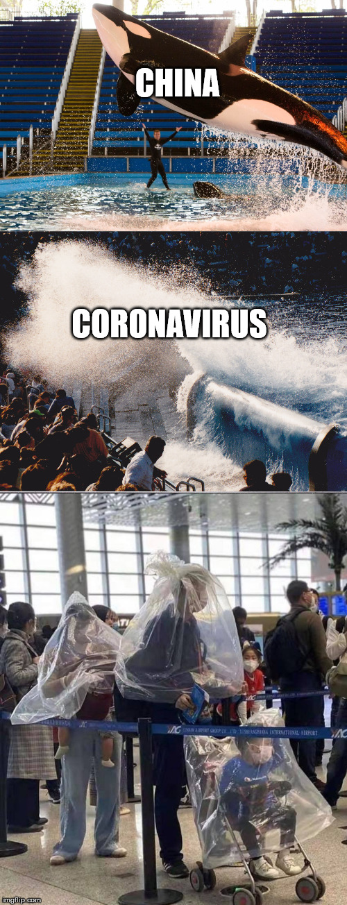 CHINA; CORONAVIRUS | image tagged in coronavirus,china | made w/ Imgflip meme maker