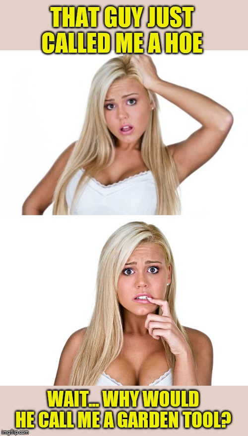 Maybe she was hoeing ;) | THAT GUY JUST CALLED ME A HOE; WAIT... WHY WOULD HE CALL ME A GARDEN TOOL? | image tagged in dumb blonde,garden,hoe,44colt,jokes,gardening | made w/ Imgflip meme maker